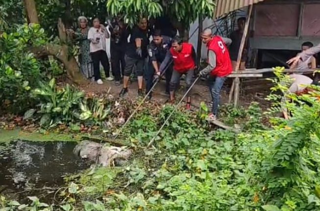 Mayat Seorang Pria Mengapung di Kolam, Warga Jalan Panca Usaha Geger